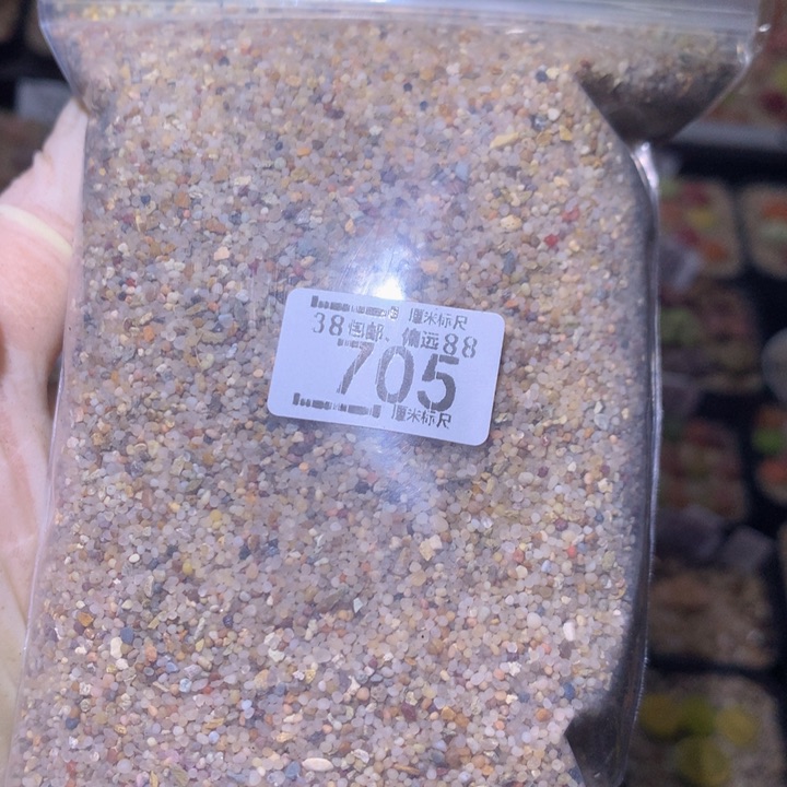 Sss精品生石花705