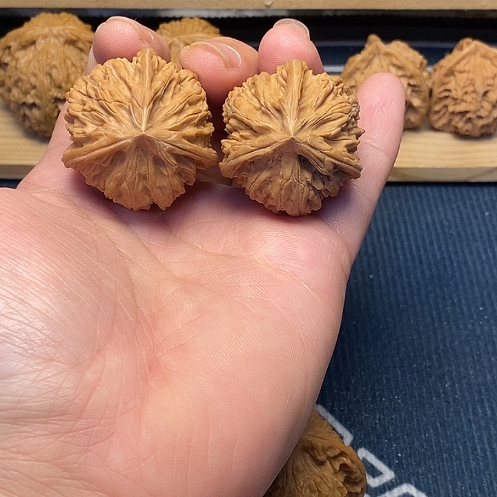 核桃35全品文山球奔福利