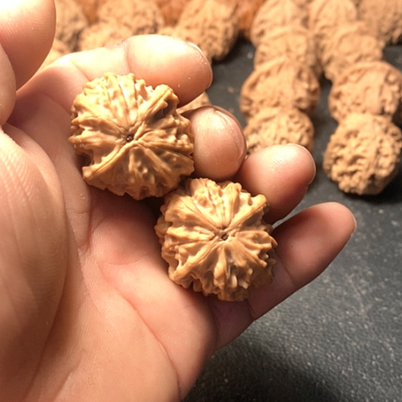 【闪购商品】蜜*龙眼