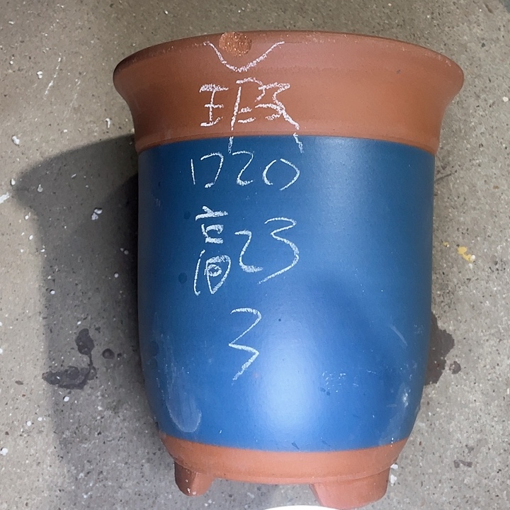 红陶紫砂紫砂紫砂