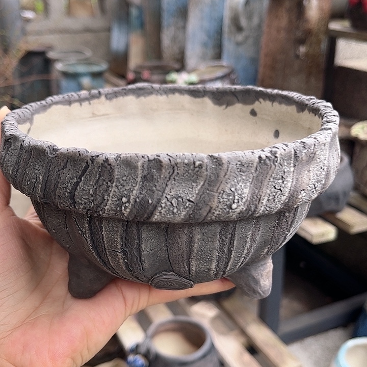 红陶好看视频是第