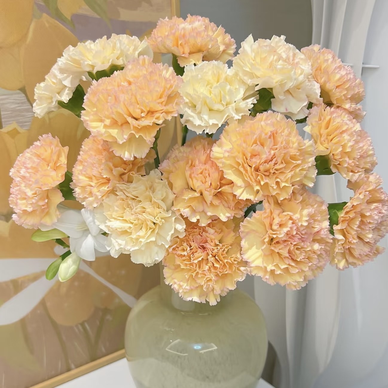 可可西里康乃馨鲜花云南基地直发家用鲜花水养花卉