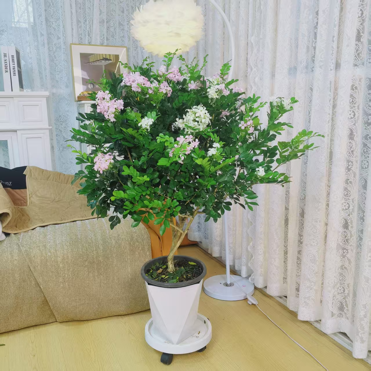 【80-100cm】九里香老桩四季开花带花苞发货花香驱蚊好养活