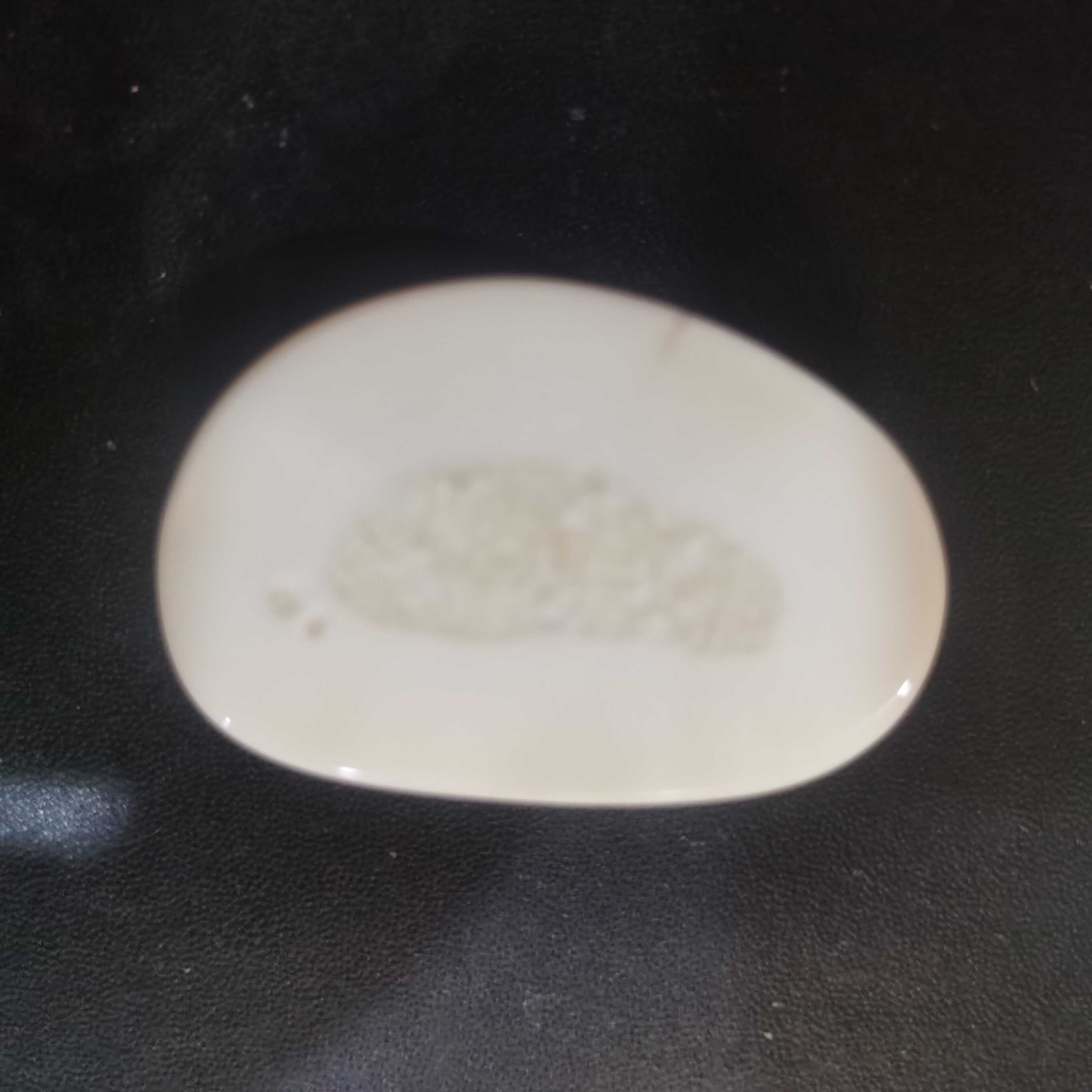 猛犸猛犸虬饼子 WT244