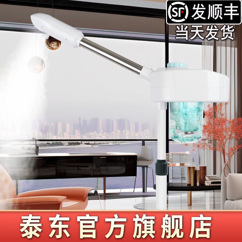 【泰东旗舰店】热喷仪美容院专用热喷蒸脸器蒸脸仪补水脸部蒸汽仪机