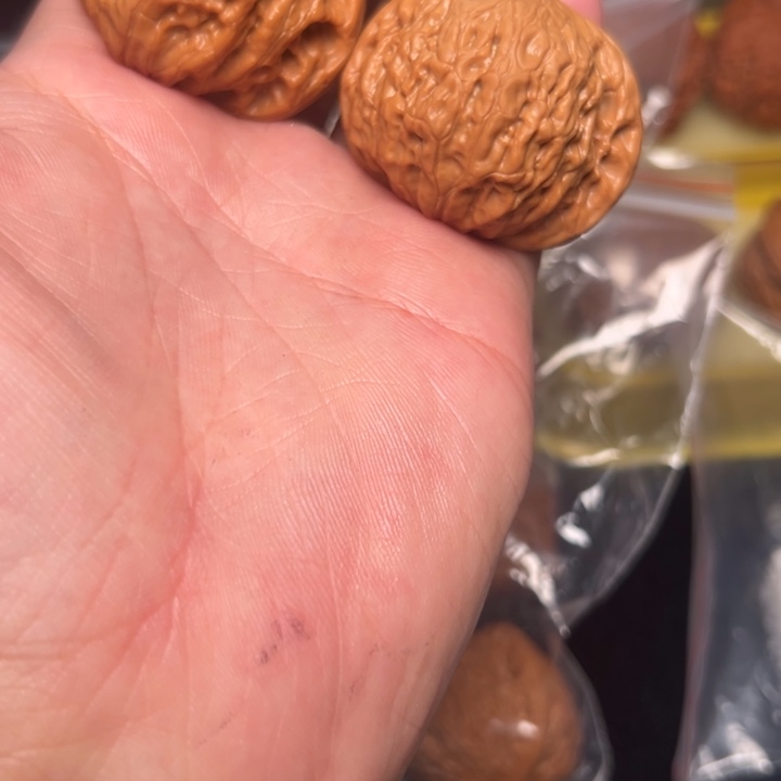 核桃42铁锤，已打底