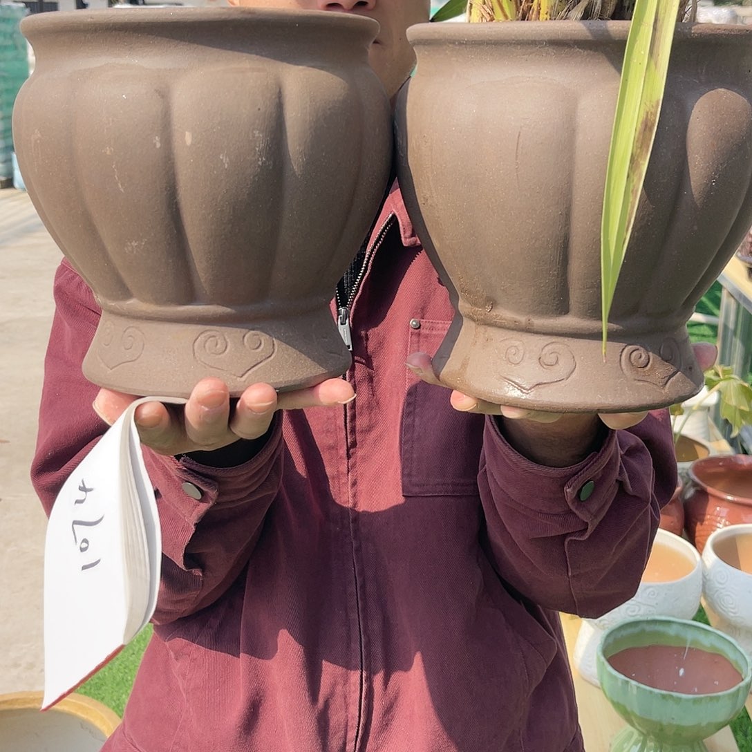 红陶彭于晏0219-1074