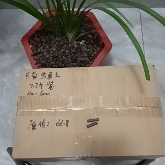 点***寞兰菌黑山土虫屎颗粒7.7斤