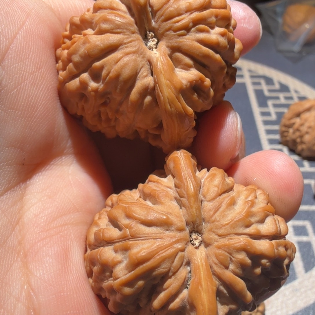 马***子文玩核桃吊坠莲花