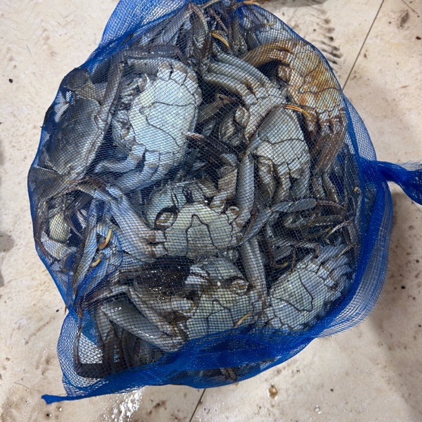 盘锦河蟹【特价蟹】4斤小公蟹1-1.3两，活发，冬季保鲜不保活