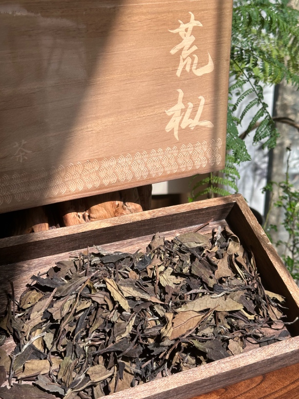 高山茶2017荒野老枞老白茶一级春寿眉