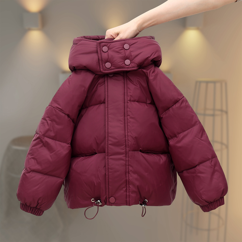2025秋冬新款儿童羽绒服男女童加厚小中大童洋气外套连帽