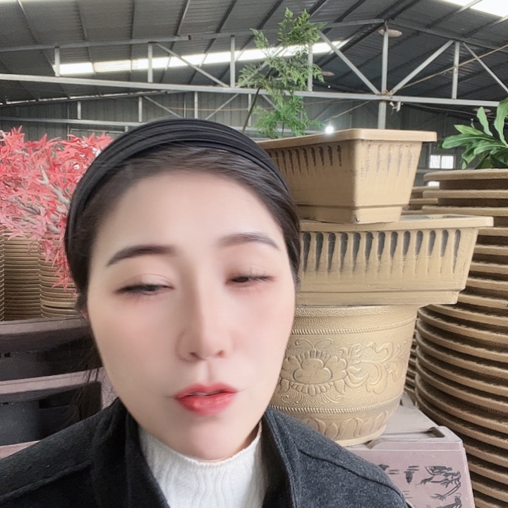 条子盆90一个 条子60一个