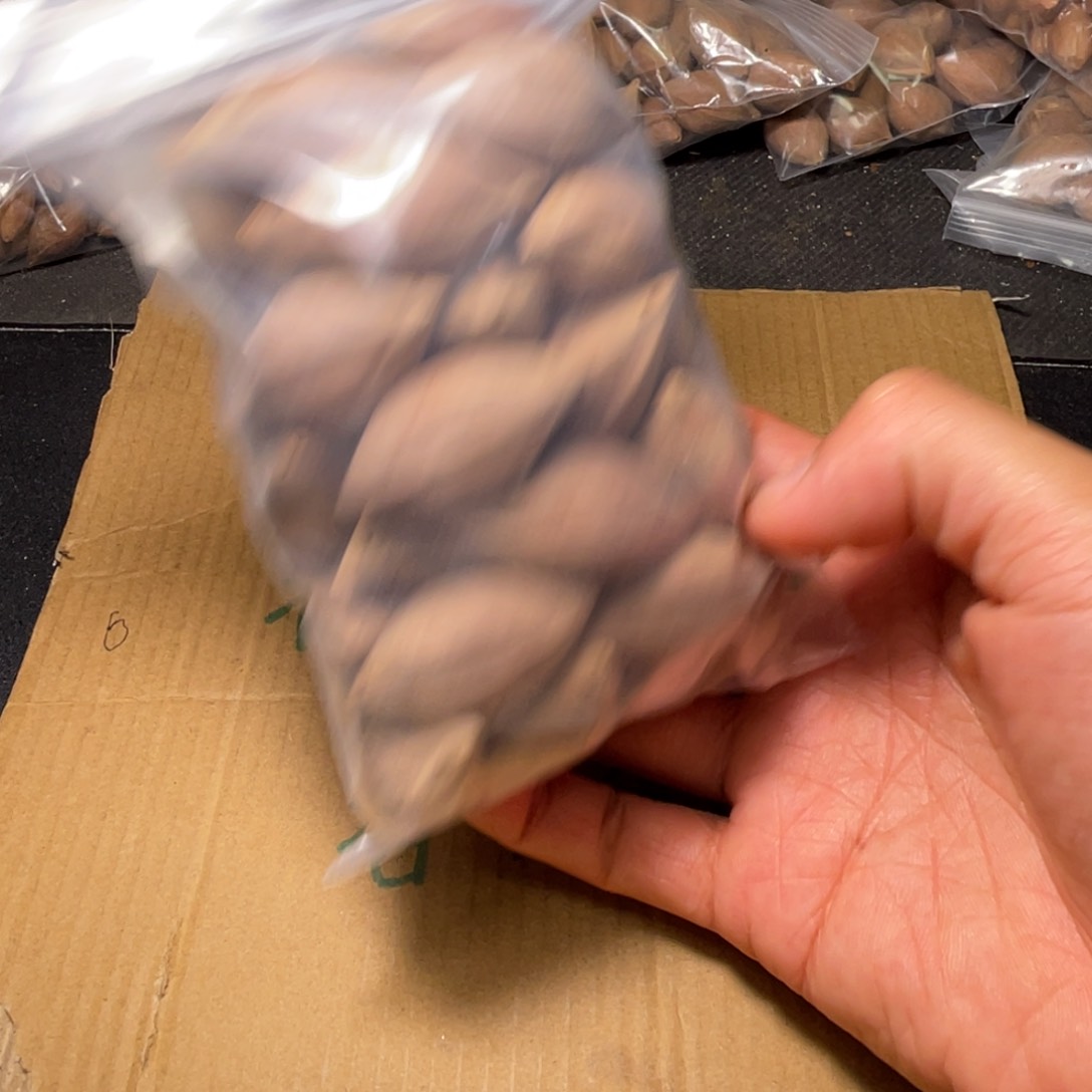 百**钱不退不换gfhddg