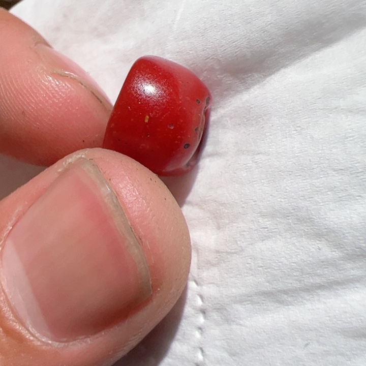 香榧木你的时候你