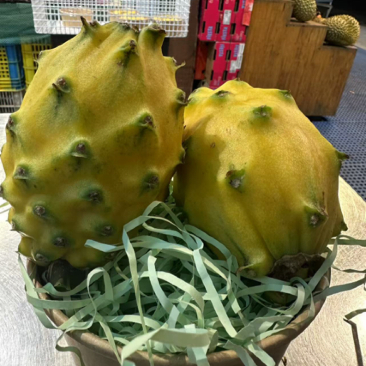 【燕窝果麒麟果】特大果3斤7-9两果4个/箱/现摘现发，产地发货