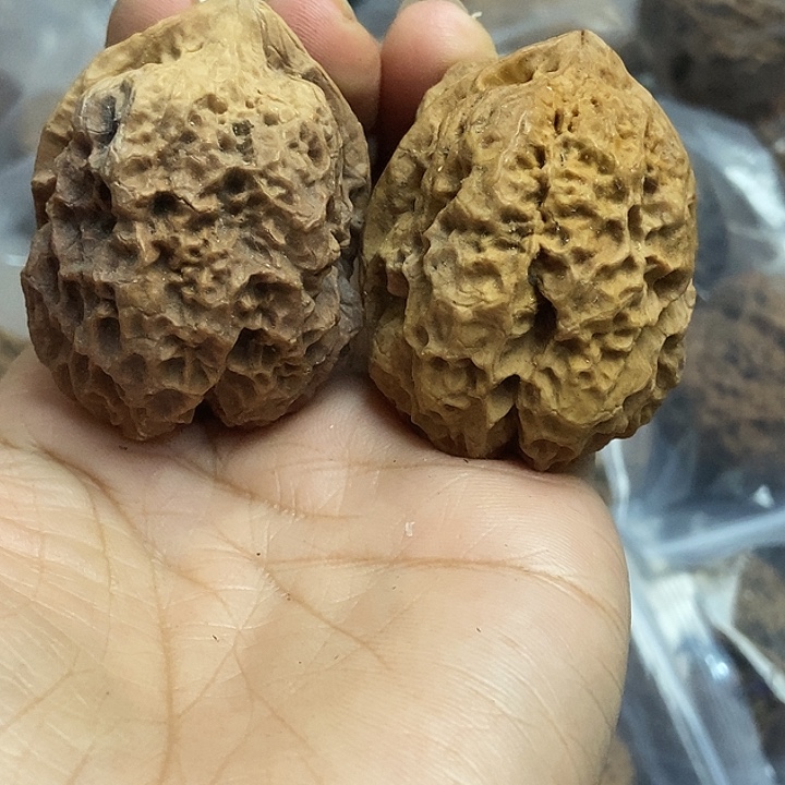 文玩核桃把件云南铁核桃基地38