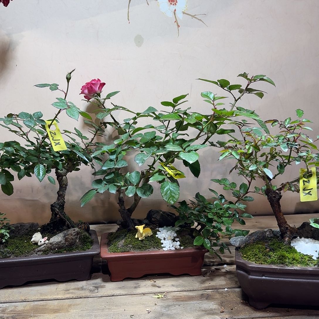 完全开放888888888