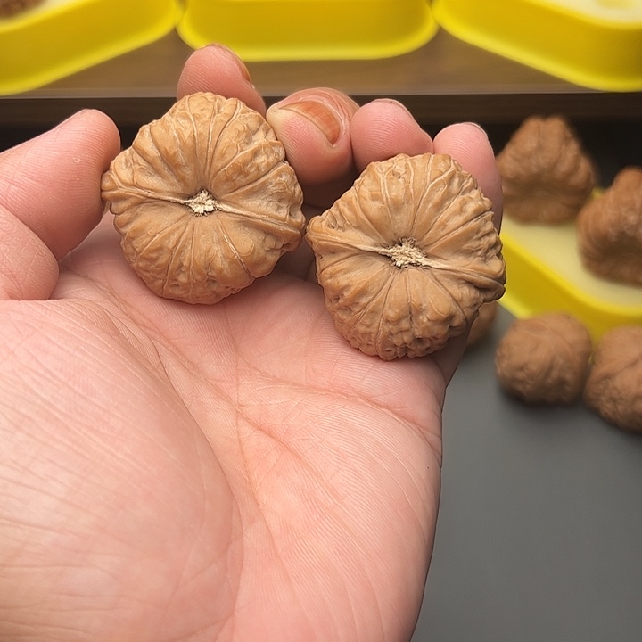 41尺精配头货南瓜墩