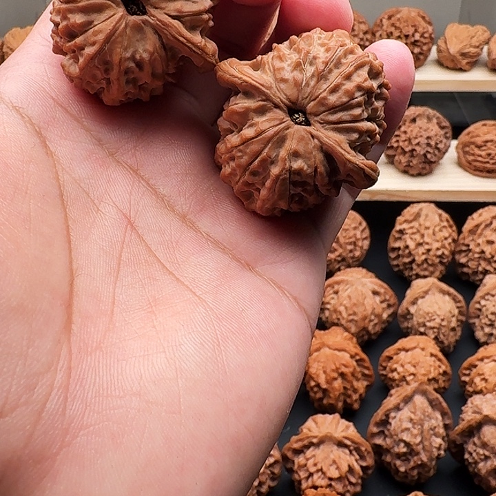 金***王文玩核桃吊坠血麒麟