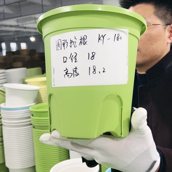 正品圆控口18高18果绿8只无托