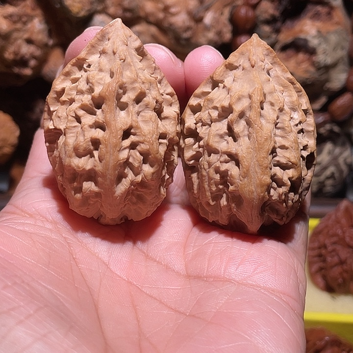 日***动抖音直播间核桃金钱底