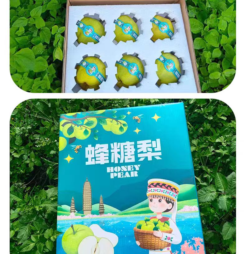 云南大理宾川高山古树蜂糖梨新鲜脆甜多汁水果