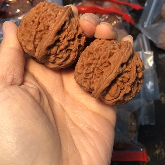 文玩核桃吊坠星*雨水龙42