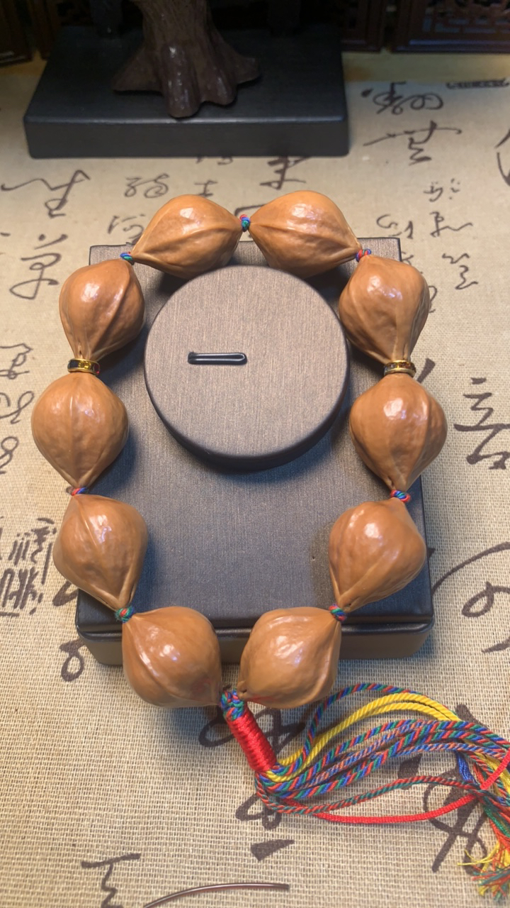 树王老油核，直径2.3