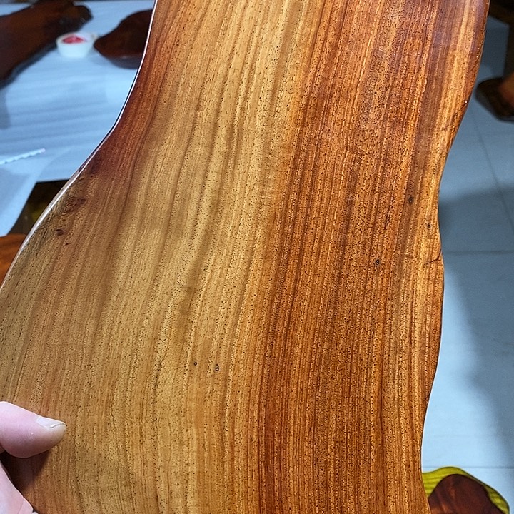 大果紫檀（缅甸花梨）