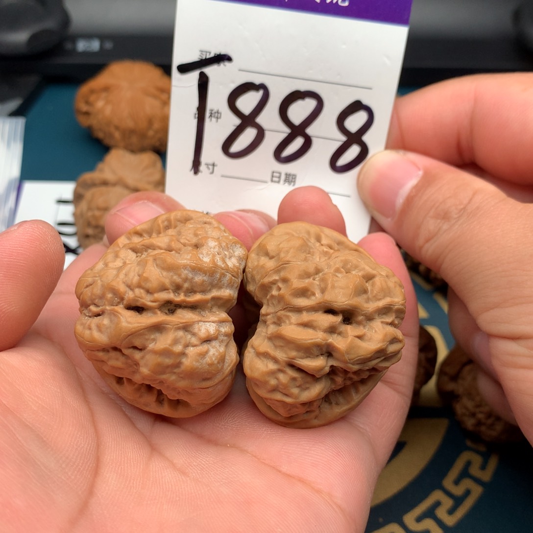 文玩核桃把件43精品蛤蟆888