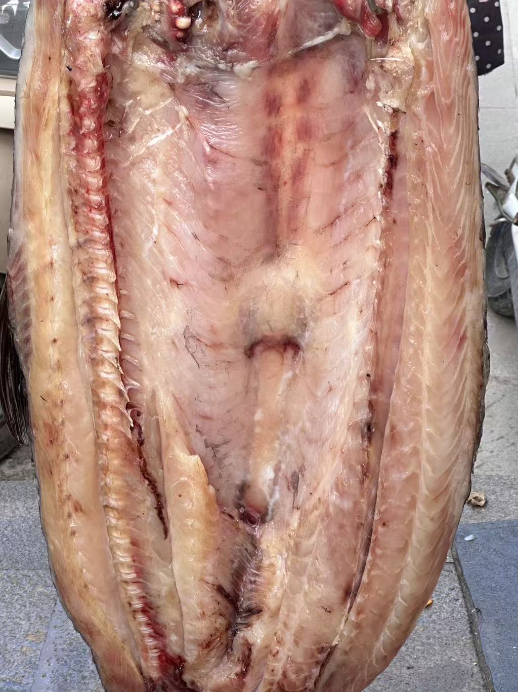湖北特产螺丝青鱼腊青鱼咸鱼块