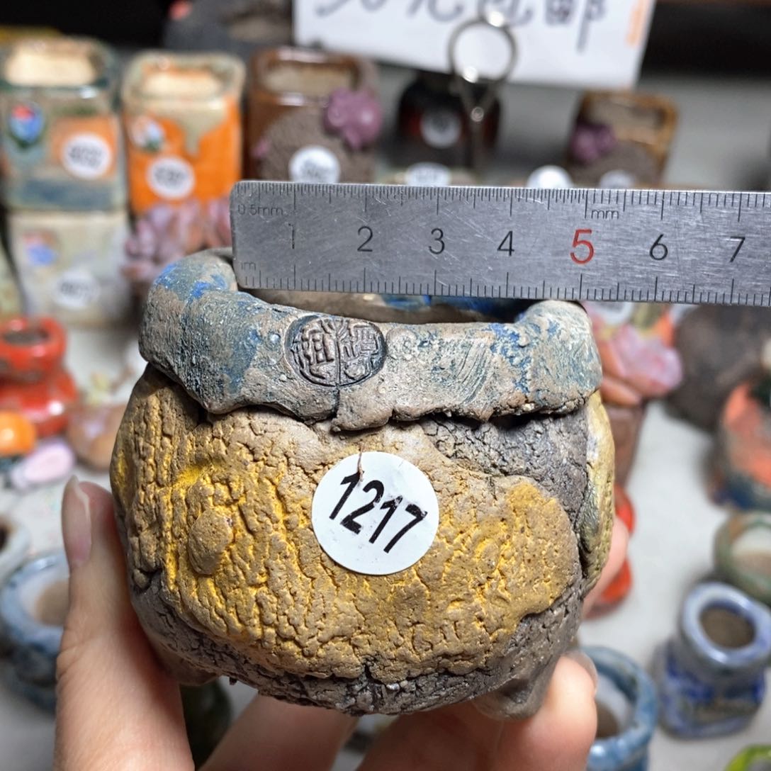 多肉花盆特价不退不换原价32一个