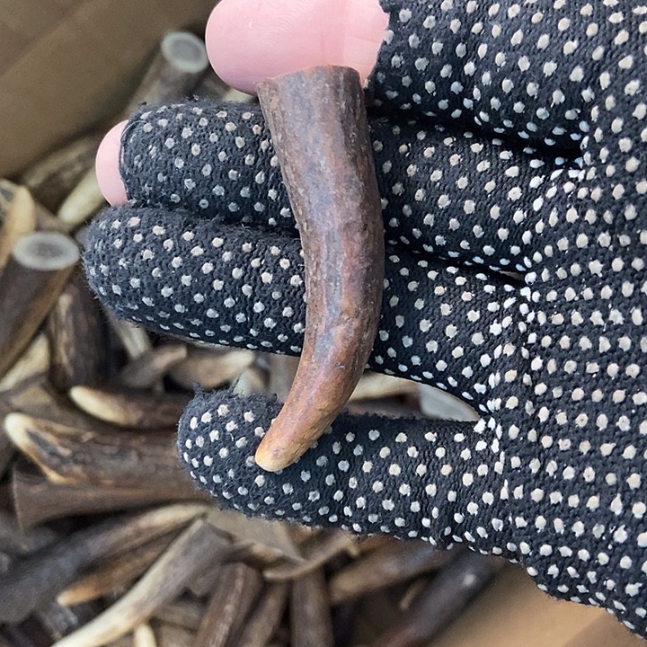 最***7大叶紫檀（黑酸枝木类）