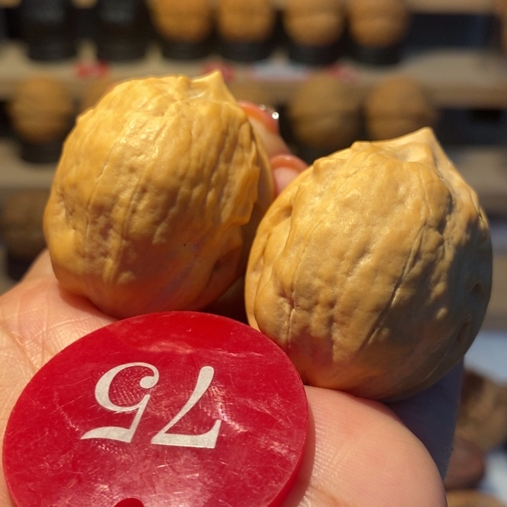 15号链接马头琴37尺寸