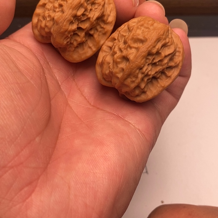 野狼狮子头狮子头