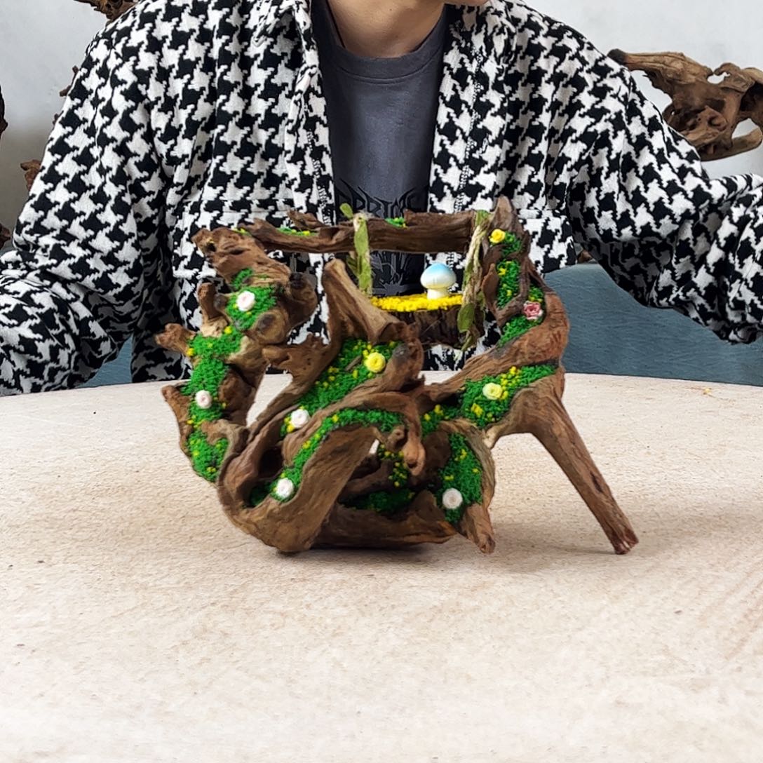 沉木造景爬宠造景