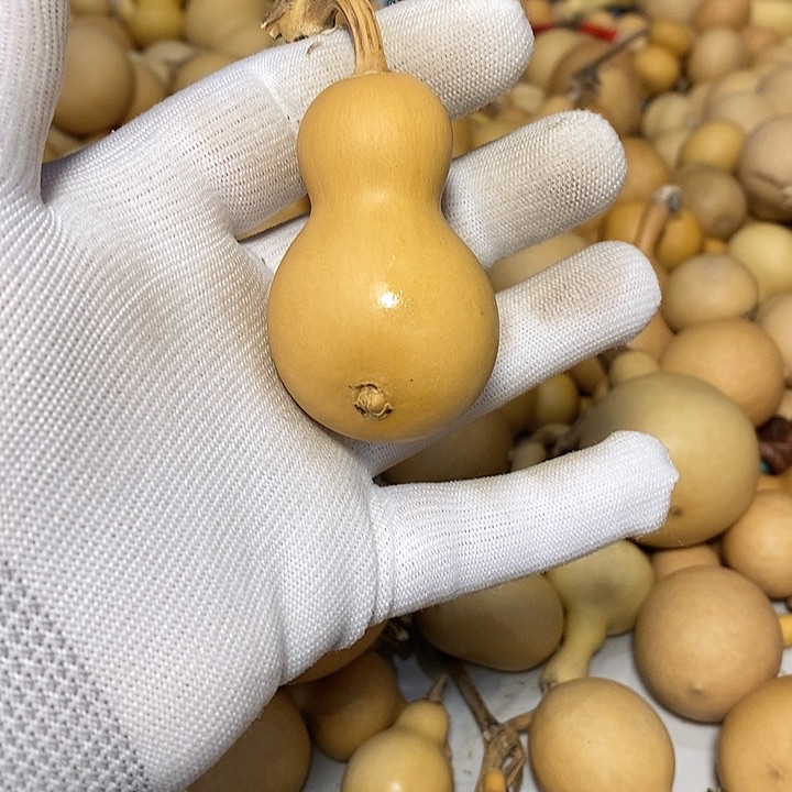 旋*精品葫芦手把葫芦24