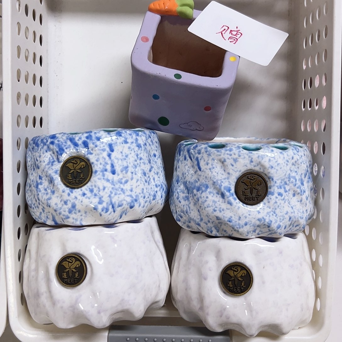 017。 清仓福利➕赠盆。  