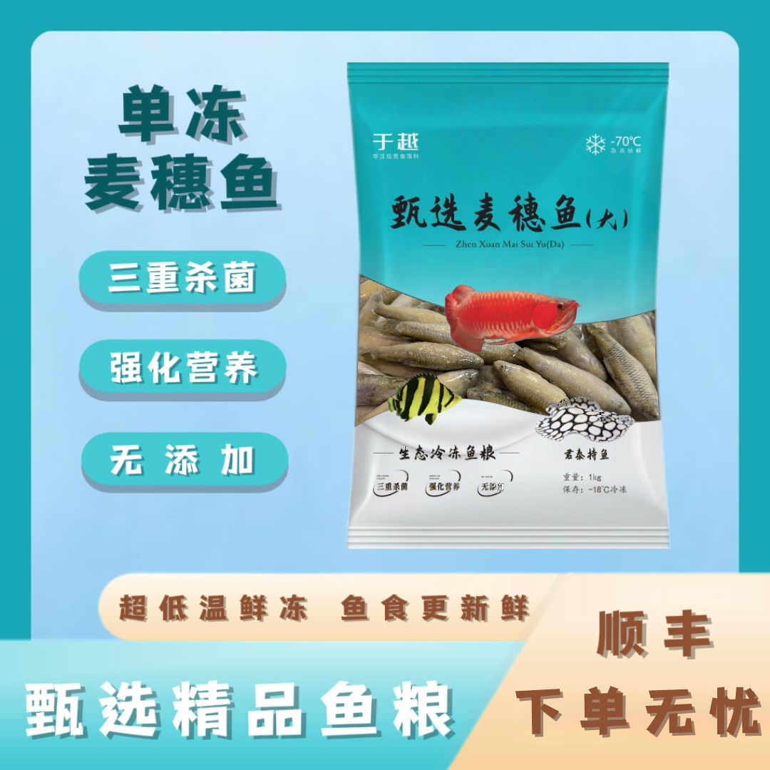 于越单冻麦穗鲜活冷冻龙鱼饲料虎鱼魟鱼雷龙龟粮大型观赏鱼饲料鱼