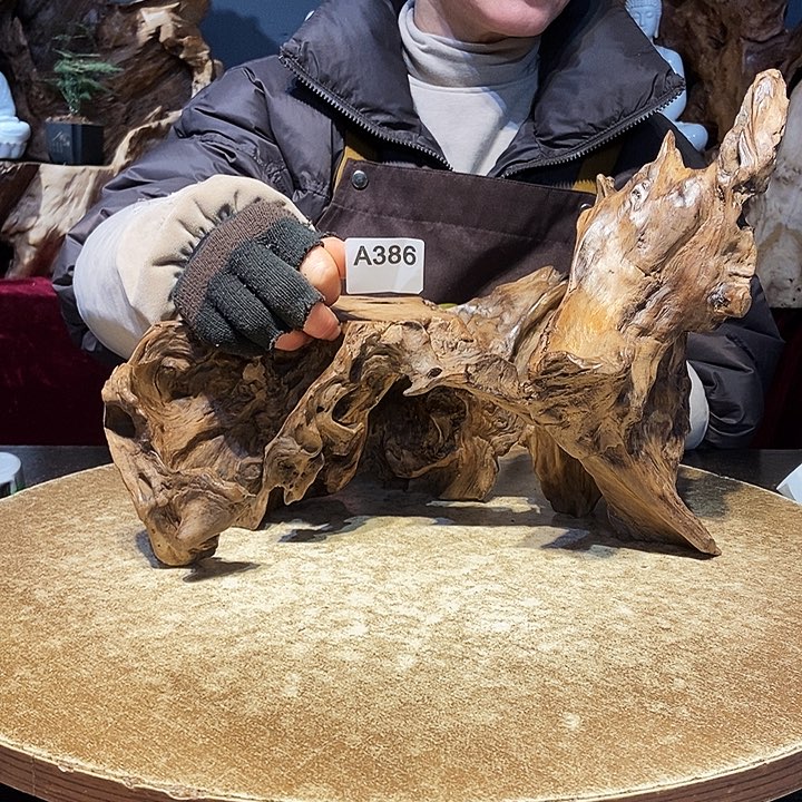 寻*386株木随行的小根艺的