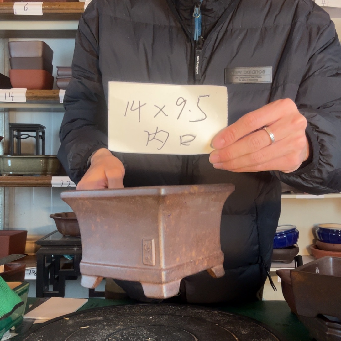 好规范非常成功一氧化碳