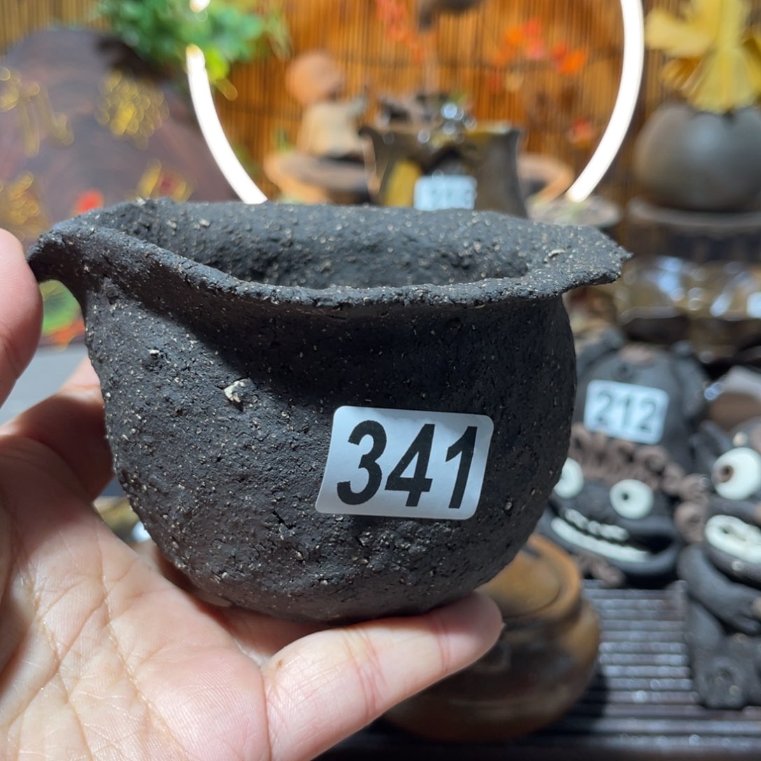 木村信弘柴烧保平