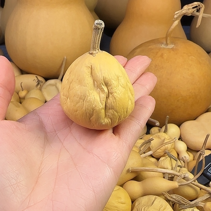 葫芦一一一一一一一65