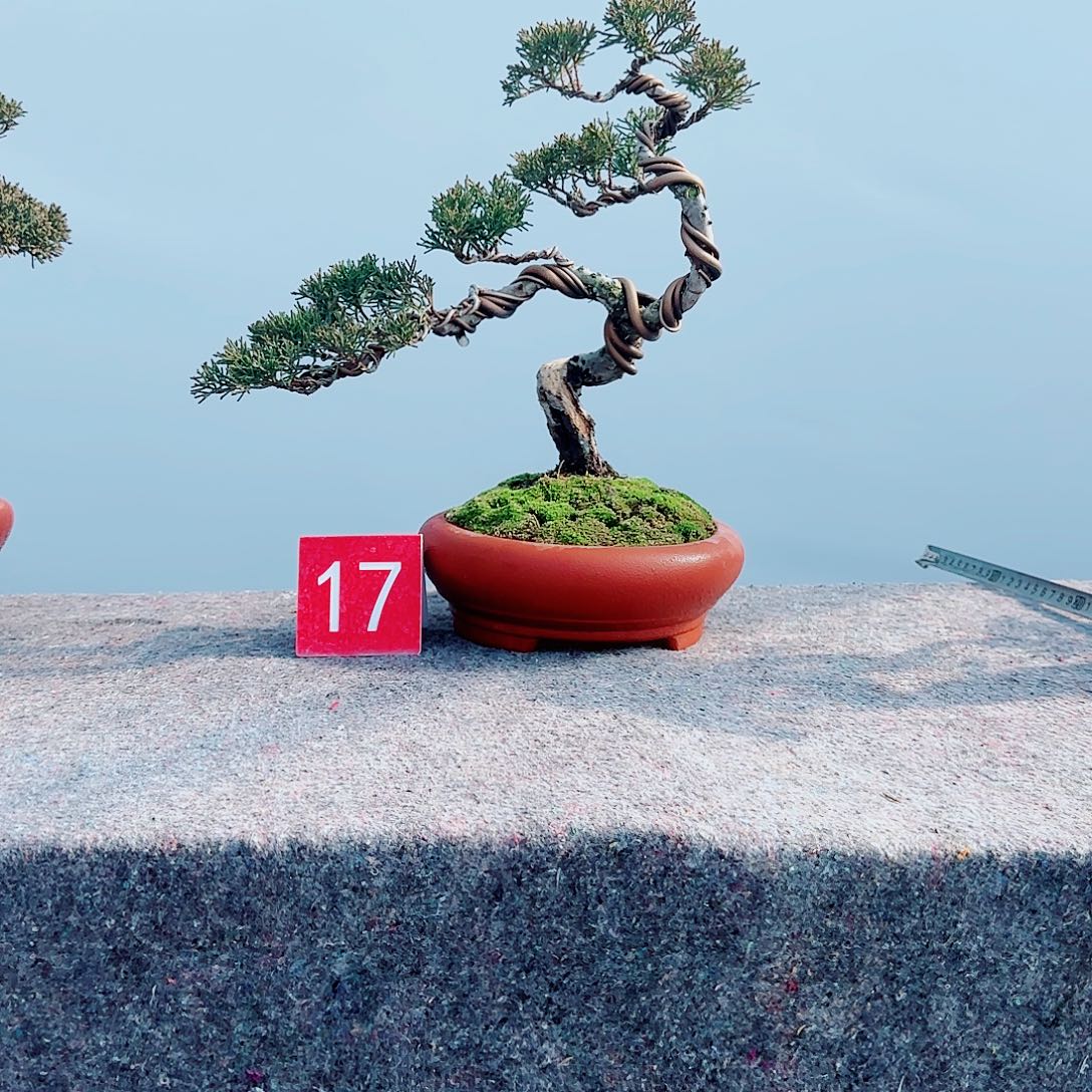 w***j完全开放一物一拍上济州