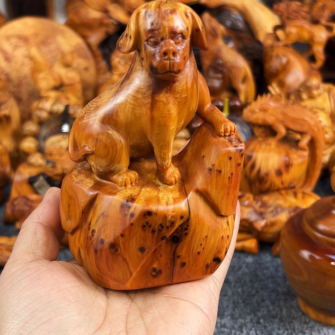 柏木坨子瘤疤精品