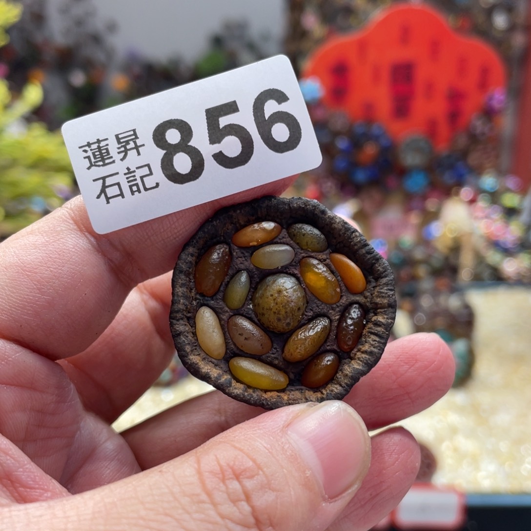 核桃木/黑胡桃（胡桃木）云**清856