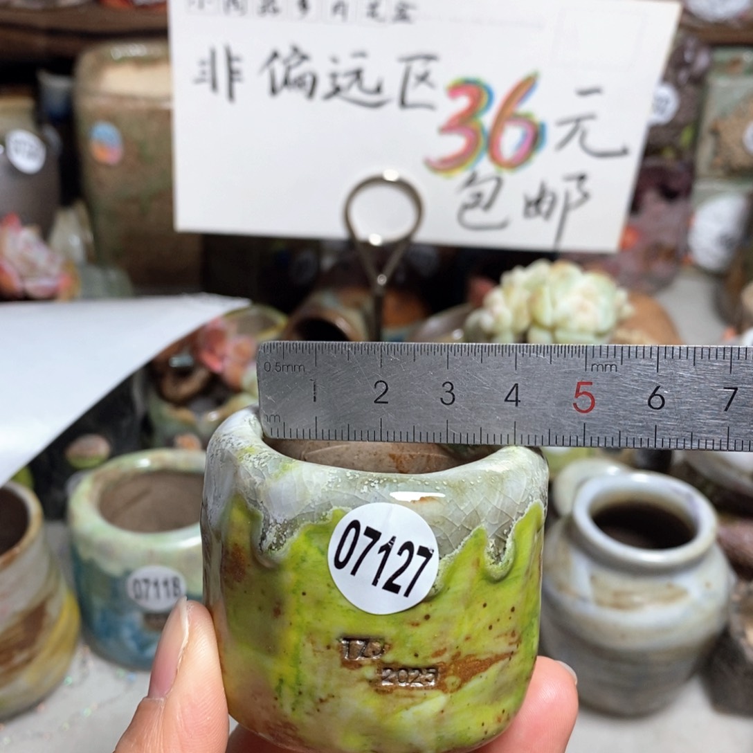 花盆拍3送一个小礼物