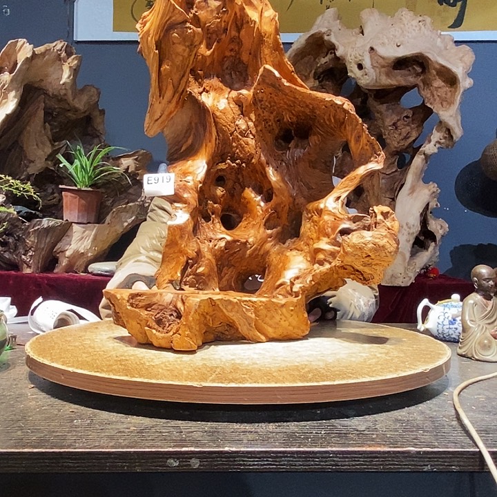 那**花919。株木随行根艺