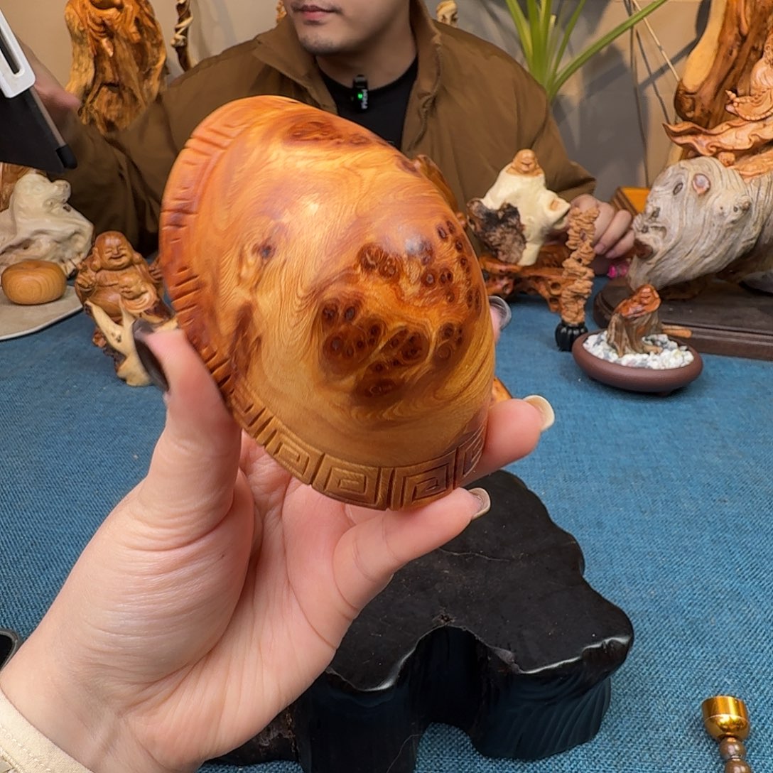 柏木（崖柏）关注一下